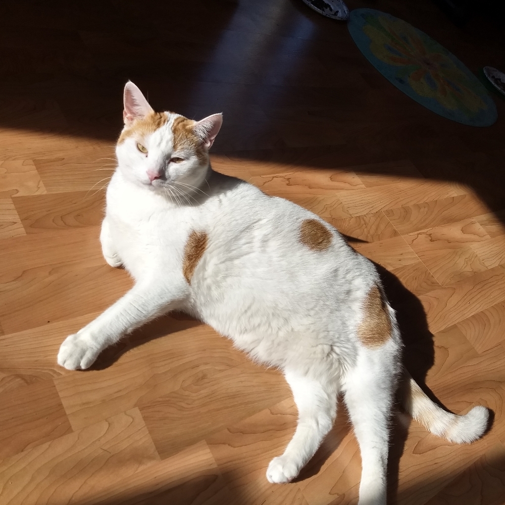 100k THANK YOU FRIENDS - Picture 5 of 14